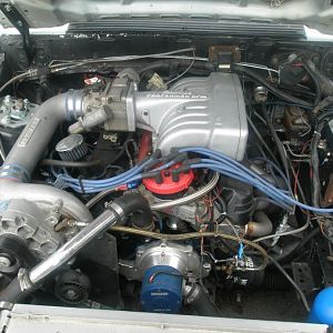 mustang 012