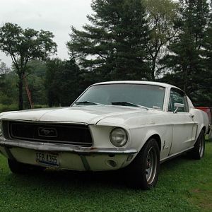 DSC 2268