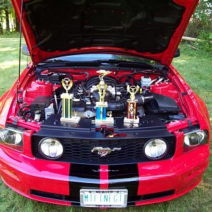 Trophies so far