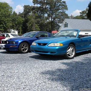 Stangs