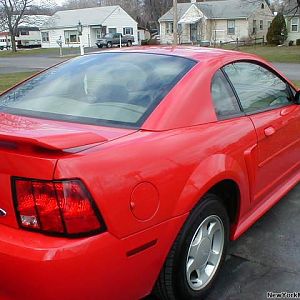 stang1