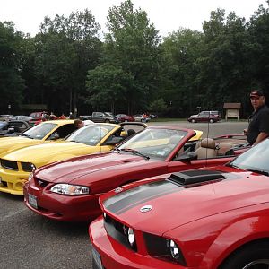 All Lined Up