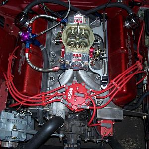 5960.jpg