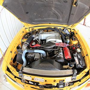 IMG 9246