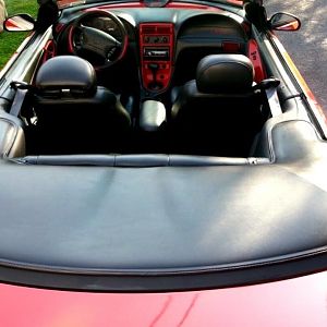 Tan interior gone