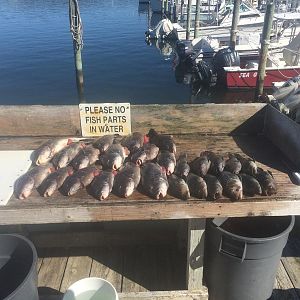 full catch 10/10/15