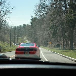 IMG 6454