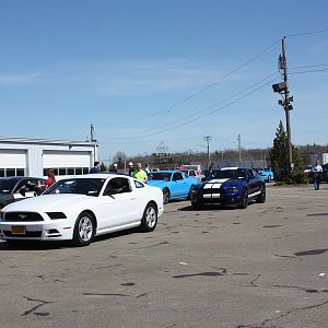 IMG 6736