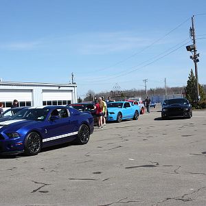 IMG 6739