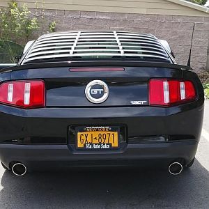 View from rear