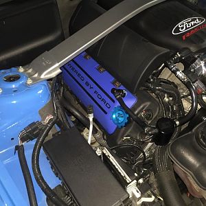 Painted coil covers
