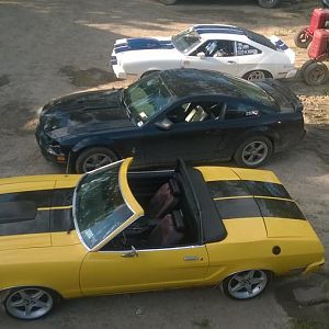 herd Shot