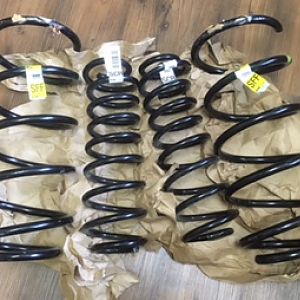 OEM GT Springs