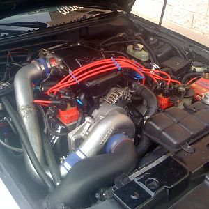 Copy of IMG 0225