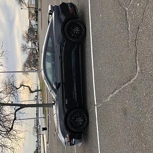 IMG 0338