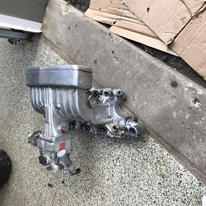 IMG 0497
