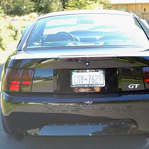mustang3