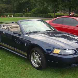 6351.jpg