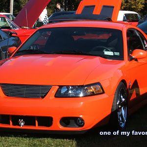 Comp orange