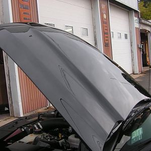 New Cowl Hood