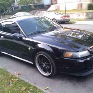 Black on Black