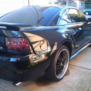 Tinted Tail lights