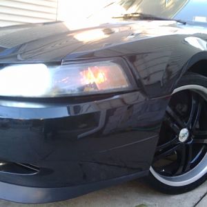 Hids