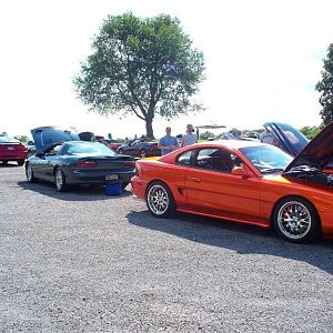 mustang 1