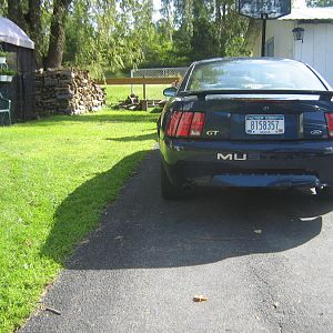 IMG 6697