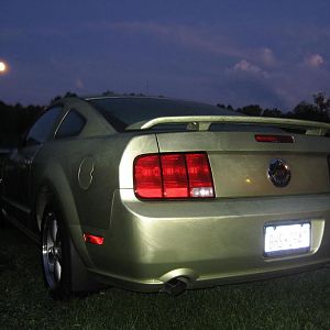Blackthorne 2009