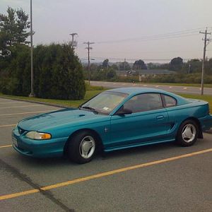 lowering springs