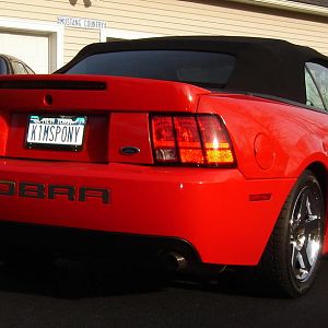 My Cobra