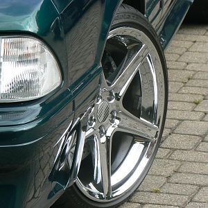 Mustang pics 027