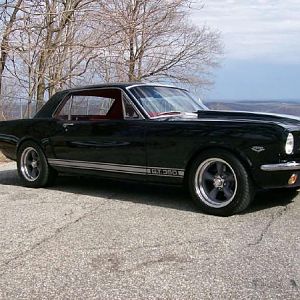 mustang pic