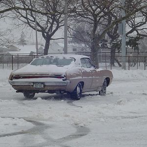 pops' 70 torino