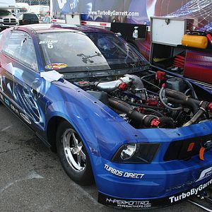 8846.jpg