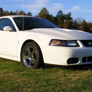 My OW cobra