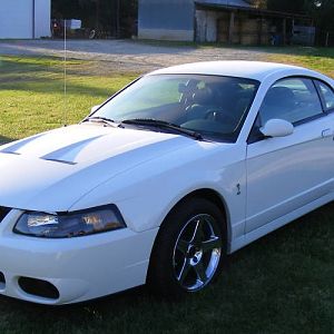 My OW cobra1