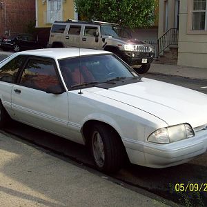 8973.jpg