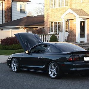 SALEENEXTREME014