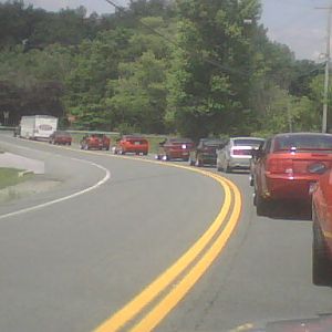 mustangs 1