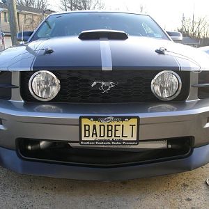 new plate 006