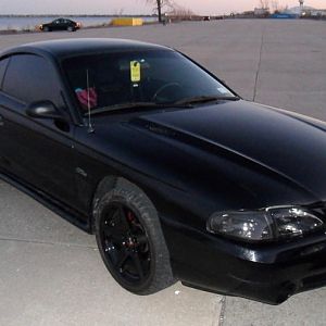 Mustang 046