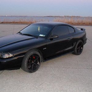 Mustang 044