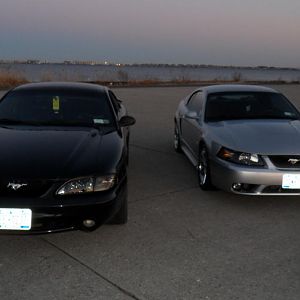 Mustang 041