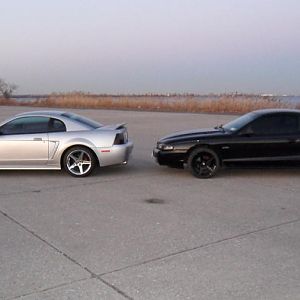 Mustang 043