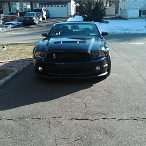 shelbyfront