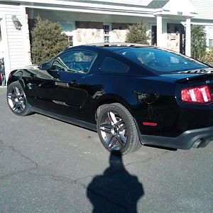 shelbyleft