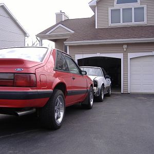 9755.jpg