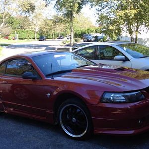 my stang